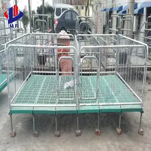 Animal Farm Breeding China Gestation Bed Sow Swine Farrowing Pens for pig farm