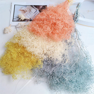 2024 Yunnan Factory conserva millones de estrellas pequeñas gypsophila <span class=keywords><strong>paniculata</strong></span> babysbreath flor blanca para la decoración del hogar de la boda - Product Image 3