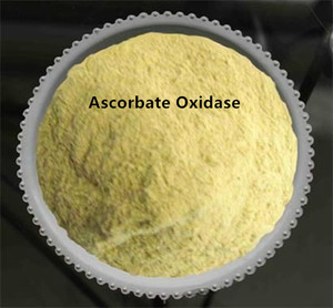 Ascorbato Oxidasa Natural <span class=keywords><strong>Aso</strong></span> Extraído de la Cáscara de Calabaza - Product Image 3