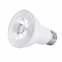 E27 Base 12V Entrée 8W Lumière du jour blanche chaude Par20 LED Ampoule de piscine pour petit spa