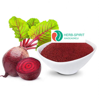 En stock dans l'entrepôt des États-Unis Expédition rapide 100% Poudre de betterave pure Poudre de racine de betterave rouge pour aliments et boissons Extrait de betterave