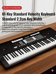 Clavier de piano numérique professionnel WK188, 61 touches lestées, portable, léger, MIDI, planche sonore en bois massif, rechargeable - Product Image 2