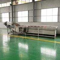 Industriële bladgroente reinigingsmachine met bubbels en transportband