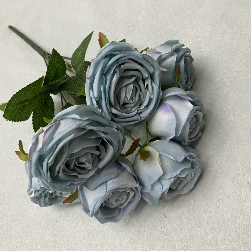 6 bleu