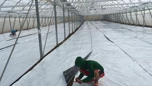 Đen Trắng Panda nông nghiệp polyethylene phim nhà kính mulch Ủ Chua Bale Bìa chăn nuôi đổ-Poly tấm nhựa màu xanh lá cây cắt - Product Image 6