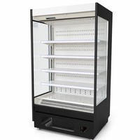 Vitrine Réfrigérée Verticale à Rideau d'Air, Multi-Niveaux, 48°C, Refroidissement par Ventilation Ambiante, LED, pour Supermarché et Magasin Commercial