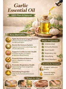 น้ำมันหอมระเหยกระเทียม (Allium Sativum) – บริสุทธิ์ 100% และเป็นธรรมชาติ กลั่นด้วยไอน้ำ |   น้ำมันหอมระเหยเข้มข้นสำหรับดูแลเส้นผมและผิวพรรณ - Product Image 5