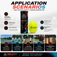 Nouvelle Arrivée - Balle de Tennis Professionnelle en Caoutchouc Haute Élasticité et Résistance, Rose, avec Logo Personnalisé, en Boîte