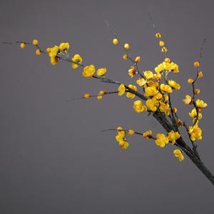 YOPIN-6058 Rama de flor de ciruelo de seda de 1.2 m, flexible, con tallo grueso marrón, pequeña flor de invierno para <span class=keywords><strong>arreglos</strong></span> de paisajismo en el <span class=keywords><strong>hogar</strong></span> - Product Image 3