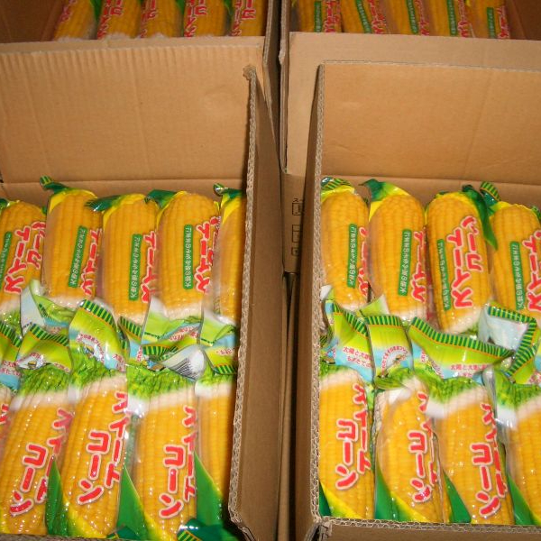 Сладкая кукуруза COB, 5 COBS,