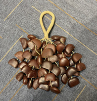 Music Healing Instruments South African Natural Plant Shell Nut Wind Chimes African Drum Accompaniment Hand Chimes