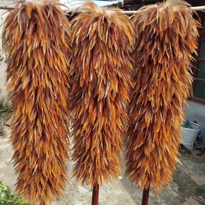 Plumeau à plumes pour voitures et maisons anciennes, pour balayer la poussière et éliminer la saleté sans perdre de plumes, adapté aux plafonds - Product Image 2