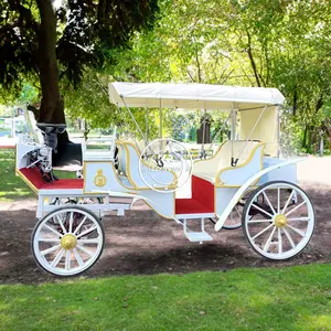 OEM Cheap Factory Price Horseless 6 Seater Electric Sightseeing Chuck Wagon Carriage