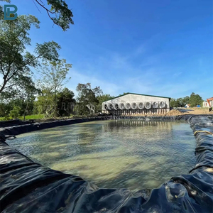 Approvisionnement d'usine 1.0mm géomembrane HDPE pour réservoirs lagunes d'irrigation étangs de jardin eau sale EPDM PP revêtement de barrage fermes piscicoles - Product Image 5