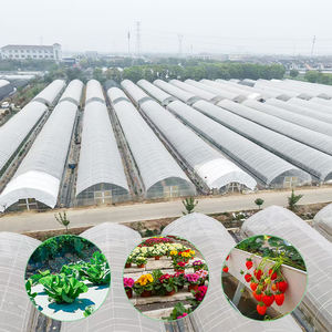 Piccola pellicola economica tubo Plug-In tubo facile montaggio a terra protezione ortofrutticola stagionale rapida senza necessità di fondotinta - Product Image 1