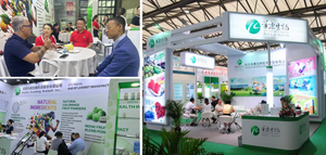 Liofilizado orgânico Açaí <span class=keywords><strong>Berry</strong></span> Fruit Pó Puro Natural Açaí <span class=keywords><strong>Berry</strong></span> Extrato Em Pó - Product Image 5