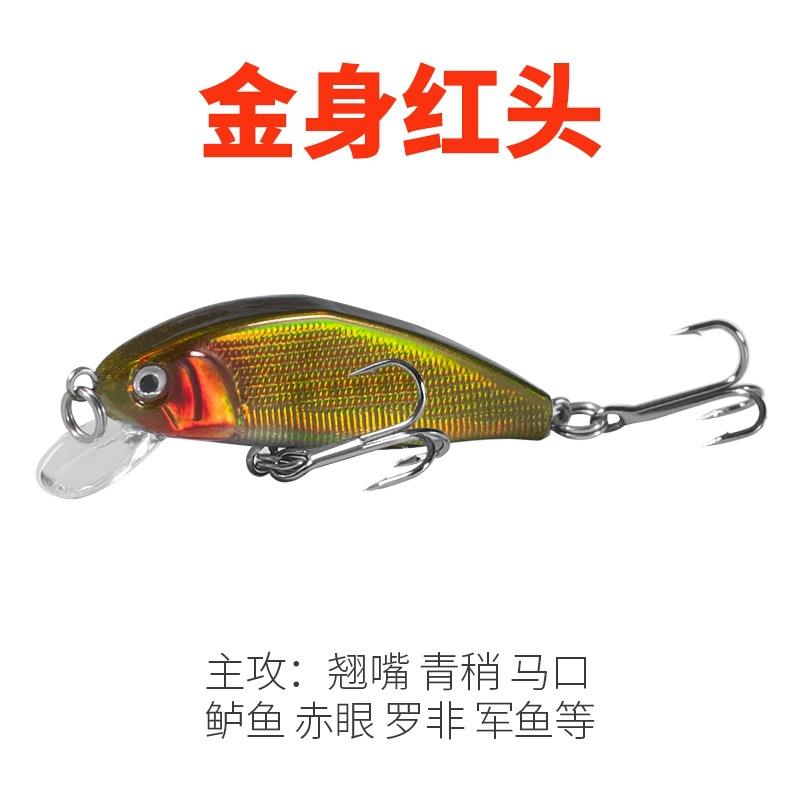 ลำตัวสีทองหัวแดง