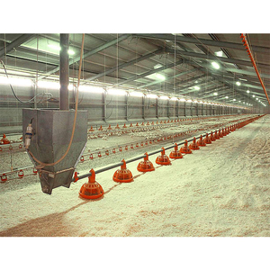 Chuyên nghiệp tự động gia cầm trang trại dài khoảng thiết kế kiến trúc gia cầm trang trại để bán - Product Image 4