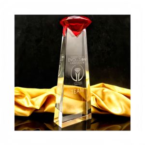 Nouveau Design Crystal Diamond Award Trophée pour Cadeaux/Red Diamond Trophy Awards/l Trophée en verre vierge Boîte cadeau transparente sculptée en 3D - Product Image 2