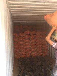 ผงเวียดนามลิทเซียกลูติโนซา/ผงกาวสำหรับธูป (คุณฮอลิเดย์) - Product Image 6