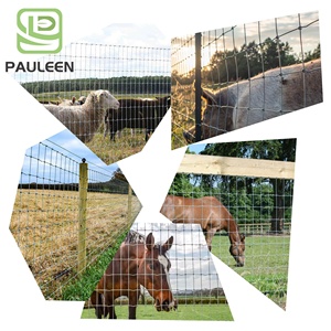 Rete metallica zincata a caldo recinzione di sicurezza per cavalli Sport scherma campo quadrato per bestiame struttura metallica - Product Image 4