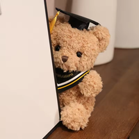 Ours en peluche de graduation Jouet en peluche unisexe Nouveau peluche Ours en peluche personnalisé Arrivée d'un animal Petite taille 23cm Aspirateur acceptable
