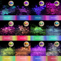 Pigmen Kilau Metalik Chameleon Glitter Shimmer Duochrome untuk Cat Kuku, Eyeshadow Multichrome, dan Tinta Lukis