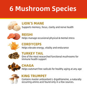 Private Label Seamoss Organic leoni Ganoserma criniera tipo <span class=keywords><strong>5</strong></span> fungo caffè per perdere peso - Product Image 4