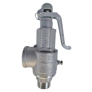 Válvula de seguridad de acero inoxidable Taizhou Guangyi A28W-16P, válvula de alivio de presión ajustable roscada para caldera de vapor y tanque de gas - Product Image 3