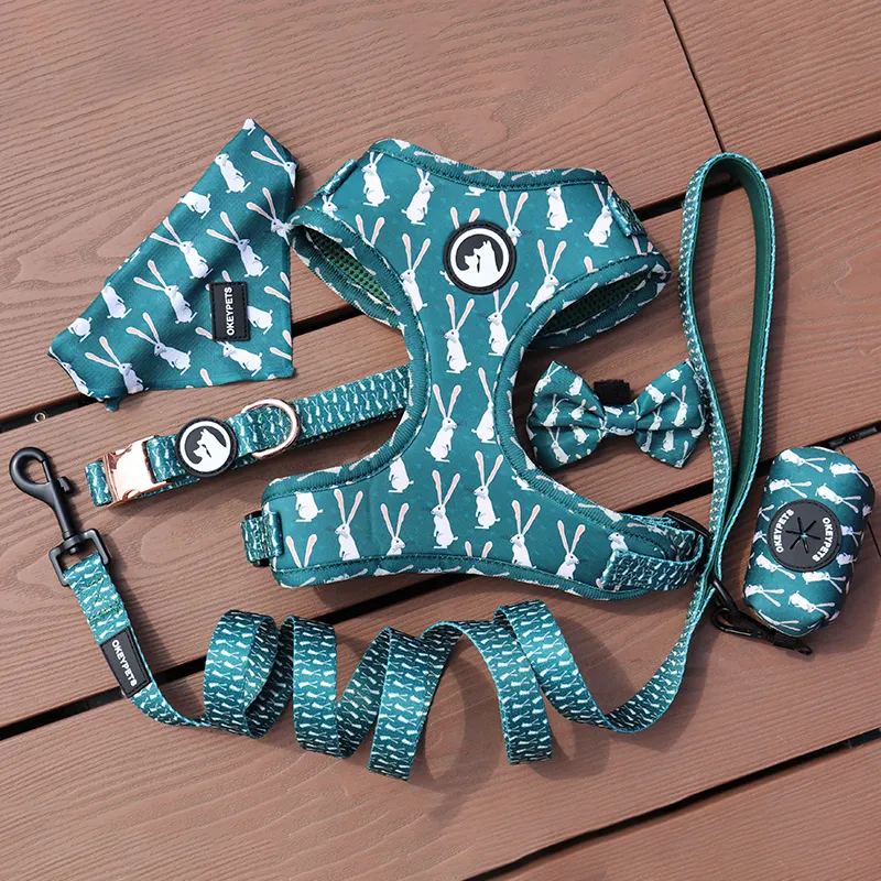 No Pull Custom Dog Cat Harness Set per animali domestici, imbracatura per cani di design di lusso regolabile a buon mercato Logo Oem personalizzato forniture per animali domestici