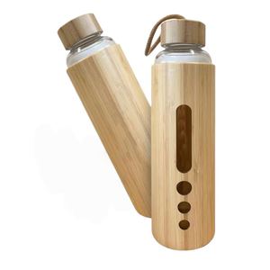 2026 <b>Hot</b> Selling 500ml Adults Hiking Gift Eco-Friendly Transparent Bio Degradable High Borosilicate Glass Tumbler Bamboo Lid - Product Image 1