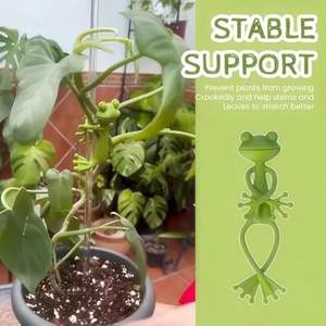 Support de jardinage en gros pour plantes : support fixe pour la mise en forme des plantes - Product Image 4