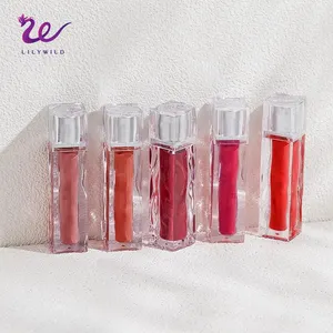 Vendor lipgloss grosir cetakan transfer logo kustom kualitas tinggi 5 warna lip gloss tahan air vegan metalik matte lip gloss