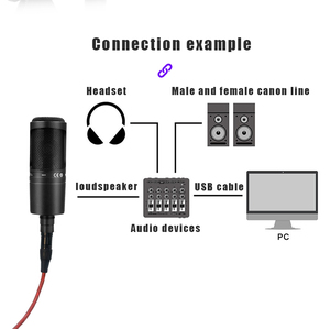 Microphone professionnel à condensateur cardioïde AT2020 pour les applications de studio de projet/domestique, micro pour l'enregistrement, le jeu, le chant en direct - Product Image 5