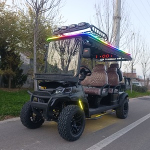 Chất lượng cao sang trọng điện Golf giỏ hàng năng lượng mới xe với Dot & EEC giấy chứng nhận sản xuất chất lượng cao điện Câu lạc bộ xe - Product Image 1