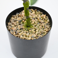 Plantes artificielles pour la décoration de la maison, cyprès pomelo en pot de 105 cm, arbre bonsaï, décoration de salon, chambre à coucher, étagère, bureau, style moderne