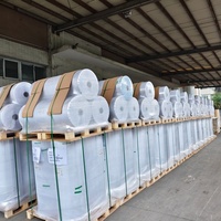 Papier adhésif BOPP TRANSPARENT 50µm, rouleau géant de matériaux pour étiquettes en PP transparent