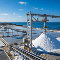 Revêtement époxy Wolong pour structures en acier, peinture industrielle de protection, couleur RAL, OEM, peinture industrielle anti-corrosion, usine