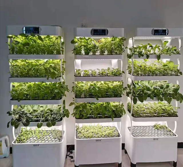 Lyine Intelligent Hydroponic Growing System Home Use Controllable Hydroponic Grow Equipment Home Smart Farm