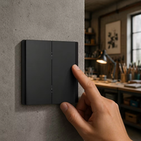 Bingoelec Vente en gros OEM ODM Interrupteur à bascule 2 modules en verre, Interrupteur électrique moderne carré pour maison et hôtel