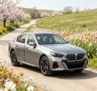 Vehículos Usados Baratos en Stock, BMW Serie 5 Bien Inspeccionados, Configuración Completa, Sedán de Segunda Mano