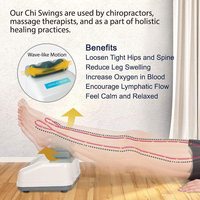 Mini machine passive de balançoire de Chi masseur d'exercice aérobie vibrateur produit de sport et de divertissement