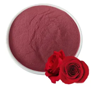 Poudre de rose de qualité alimentaire de haute qualité 99% poudre de pétale de rose naturelle pure en vrac