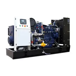 CE & ISO 400/230V 50/60HZ 100 kva 80 kW biogas generator set