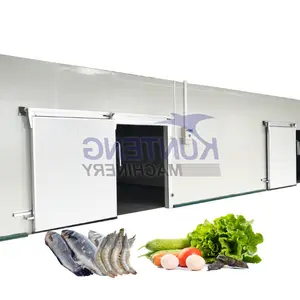 Industrial negative ice make cold room walk in blast freezer meat fish seafood cold storage warehouse refrigeration room price