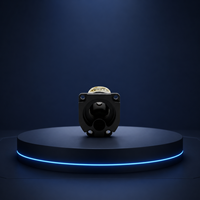 Modul Pengukur Jarak Laser 1000L 10g Ringan 1000m untuk Pemetaan Drone UAV, Penahan Ketinggian, Penentuan Posisi, Sensor LiDAR DToF