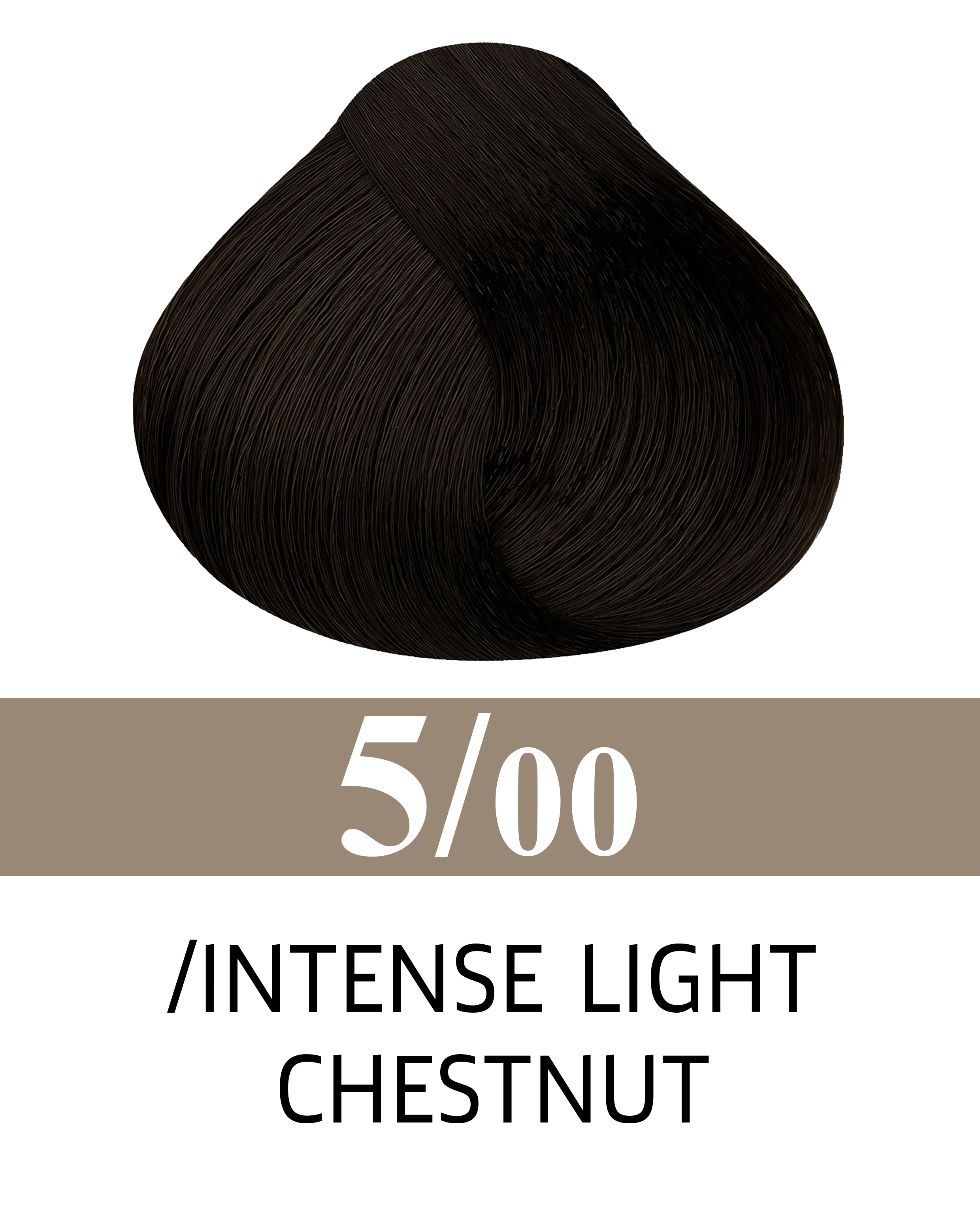 5/00 Châtaigne Lumière Intense