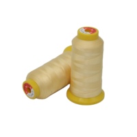 Haute résistance usine directement ODM depuis 1993 150D/2 vente en gros de fil 100% Nylon
