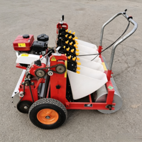 Semoir automatique Greenpower à réglage de profondeur pour l'ensemencement de l'ail, haute productivité, prix usine