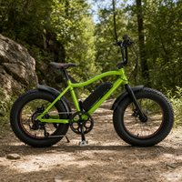 Vélo électrique à pneus larges de 20 pouces 48 V 250 W pour la vente en gros